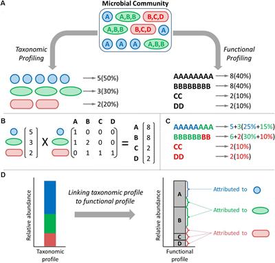 BURRITO: An Interactive Multi-Omic Tool for Visualizing Taxa–Function Relationships in Microbiome Data